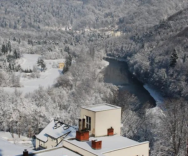 Sanatorium Uzdrowiskowe Wiktor Cechini *